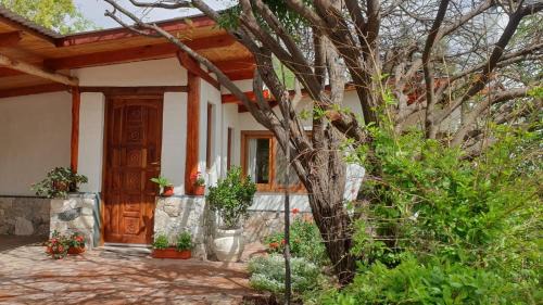 Ischilin Casa | Jardín Dorado