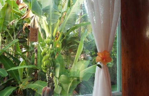 Velha Boipeba Casa | Jardim UIXA
