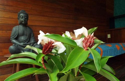 Velha Boipeba Casa | Jardim UIXA