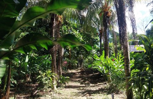 Puerto Maldonado Apartamento | JARDIN DE LAS MUSAS