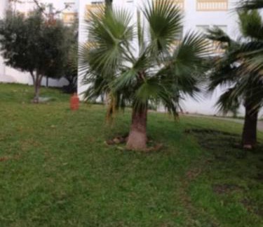 La Nouvelle Ville Ibn Batouta Apartamento | Jardin latlantique