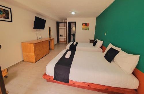 Santa Lucia Hotel | Jardines de Luz