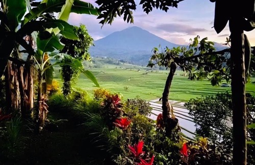 Penebel Otro | Jatiluwih Glamping