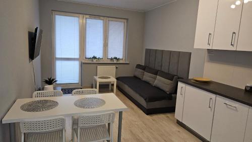 Plock Apartamento | Jedenastka