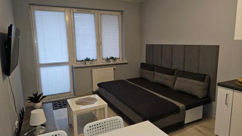 Plock Apartamento | Jedenastka
