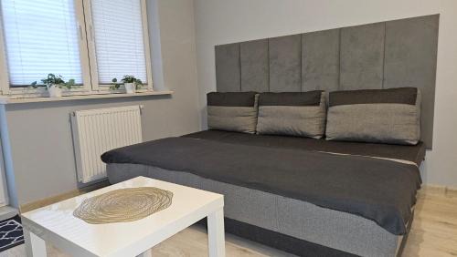 Plock Apartamento | Jedenastka