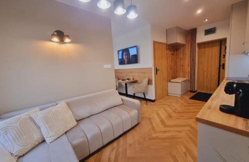Jedlina-Zdroj Apartamento | JEDLINA Park