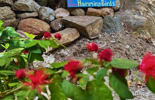 Estate Lerkenlund Cabina | *FREE JEEP* Northside Cottage / Gorgeous Ocean Views *WALK TO HULL BAY BEACH*