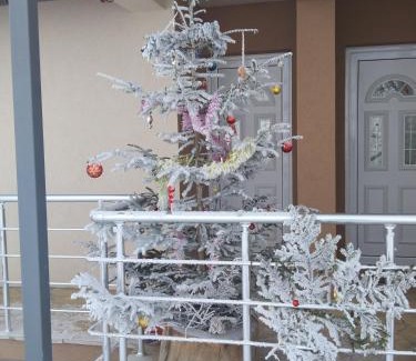 Ciganska Mahala Apartamento | Jelenin konak