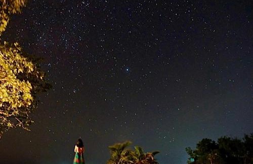 Maria Complejo | Jelly Sea Resort