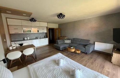 Lipno nad Vltavou Apartamento | Jen tak Lipno