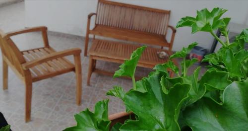 Marzano Appio Cama Y Desayuno | Jenny's House b&b
