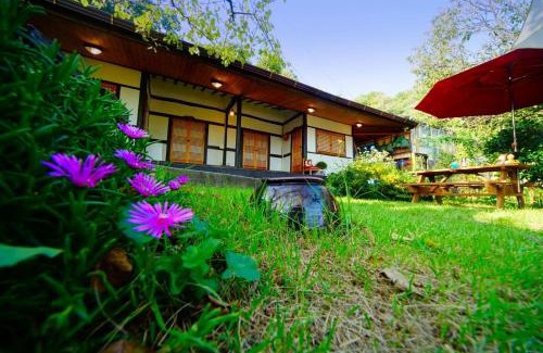 Jeonju Casa | Jeonju ggumgguneunnalgae guesthouse