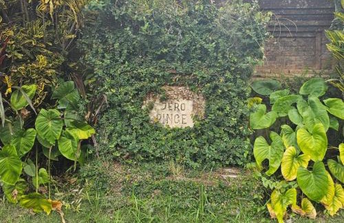 Tua Casa | Jero Pinge Homestay