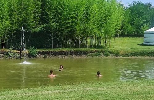 Vojvodina Apartamento | Jezero apartman privatnost