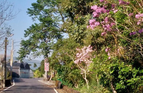 Lugu Casa | Jiji Village Villa B&B