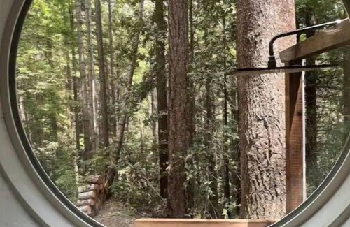 Little River Cabina | Jimmy’s Hike In cabin A tranquil retreat, family, and romantic getaway