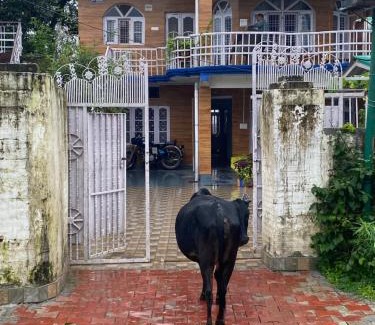 Sidhpur Casa | JIYA Guest HOUSE