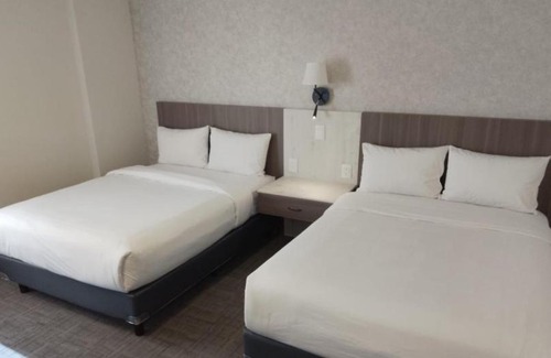 San Luis Potosi Hotel | JM & Suites