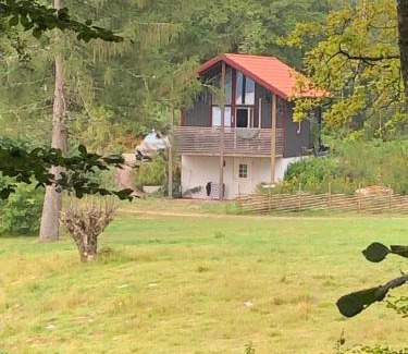 Kalv Cabina | Joarsbo, Stuga 2, Gårdsstugan