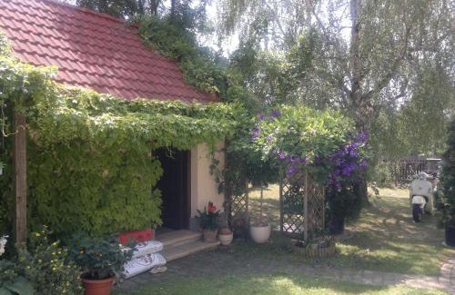 Lackenbach Casa | Joes Cottage