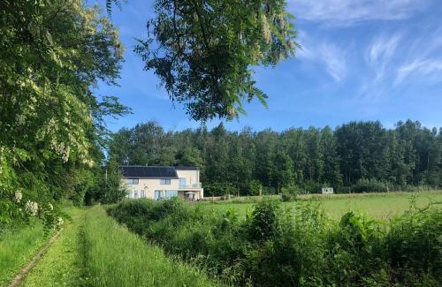 Budingen Casa | Joff