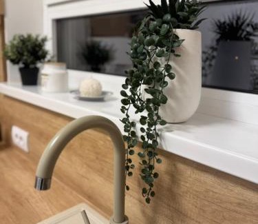 Paracin Apartamento | Jokica apartmani