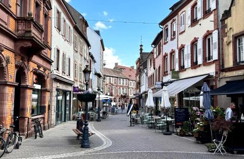 Haguenau Apartamento | Joli 2 pièces, avec climatisation et grande terrasse, vue sur les toits, zone piétonne