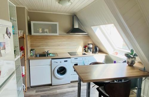 Haguenau Apartamento | Joli 2 pièces, avec climatisation et grande terrasse, vue sur les toits, zone piétonne