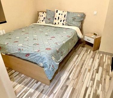 Saint-Laurent-sur-Saone Apartamento | Joli Appartement T2 Saint Laurent Sur Saone