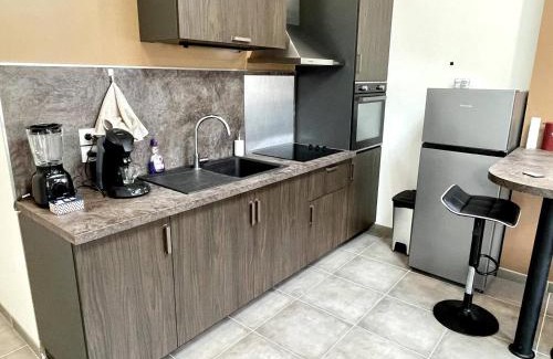 Saint-Laurent-sur-Saone Apartamento | Joli Appartement T2 Saint Laurent Sur Saone