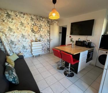 Croix-d'Argent Apartamento | Joli T2/Tram/Clim/Parking/Wifi/Piscine