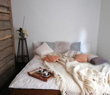 Druskininkai Apartamento | Jono Trobele