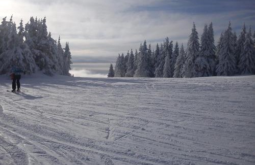 Kopaonik Apartamento | JOPA Suncani breg