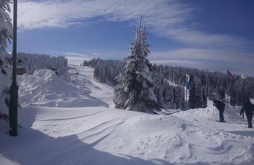 Kopaonik Apartamento | JOPA Suncani breg