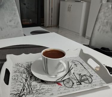 Central Serbia Apartamento | Jovic Apartments
