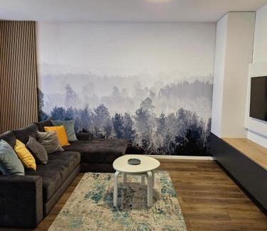 Timisoara Apartamento | Joy City Stay Nord One N2-66