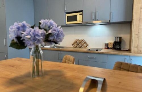 Timisoara Apartamento | Joy City Stay Vivalia 7B-25