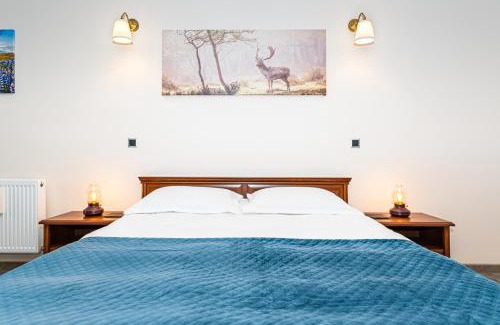 Poiana Brasov Apartamento | Joy Studio - Poiana Brasov - Silver Resort