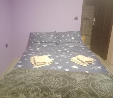 Central Serbia Cama Y Desayuno | Južna priča Miki