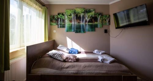 Satoraljaujhely Apartamento | Juhar Wellness vendégház