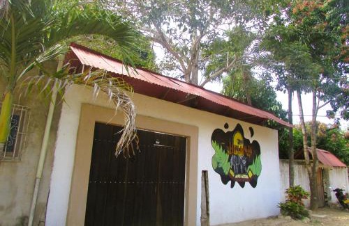 Palomino Casa | Jumanji