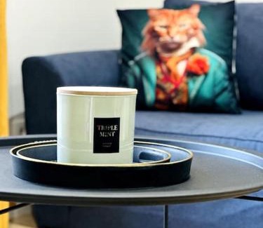 Laon Apartamento | Jungle Appartement avec terrasse