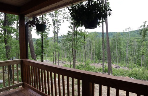 Cool Ridge Cabina | Jungle Boogie in Mountains