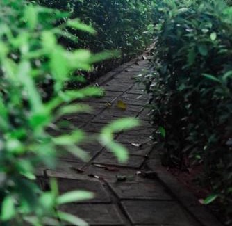 Sevanagala Casa | Jungle Edge Cottage