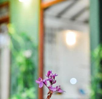 Sevanagala Casa | Jungle Edge Cottage