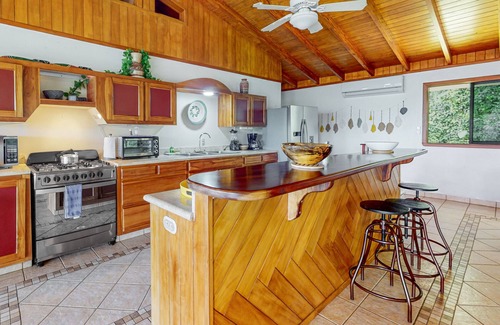 Lagunas de Baru Casa | Jungle estate with mountain views, private pool, open-concept, & AC - dogs ok