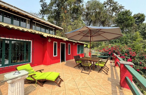 Nogueira Casa | Jungle Fever: Charming House in Itaipava.
