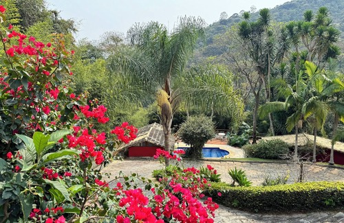 Nogueira Casa | Jungle Fever: Charming House in Itaipava.
