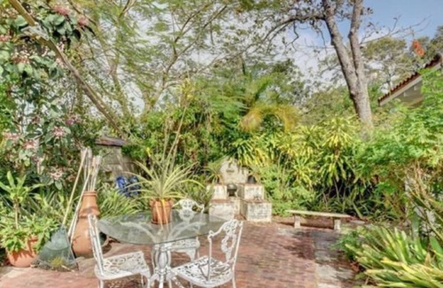 Riverside Park Casa | Jungle Getaway In The Heart of Ft. Lauderdale